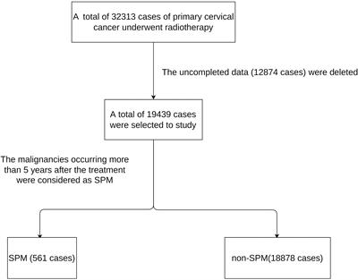 The risk and latency evaluation of secondary primary malignancies of cervical cancer patients who received radiotherapy: A study based on the SEER database